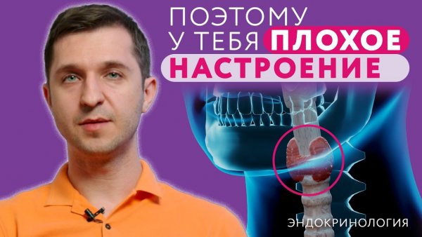 Как щитовидная железа влияет на потенцию