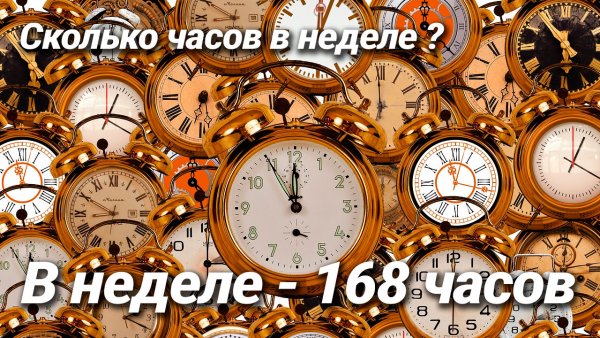 Сколько часов действует Виагра и как ее правильно принимать